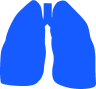 Lungs